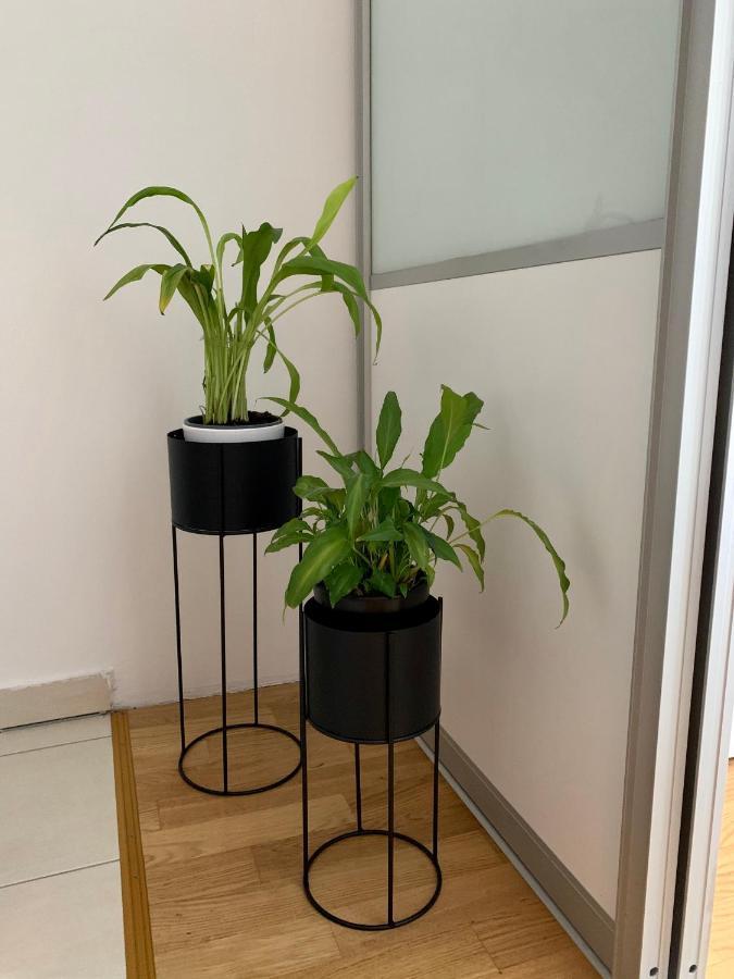 Apartment Nina Varaždin Zewnętrze zdjęcie